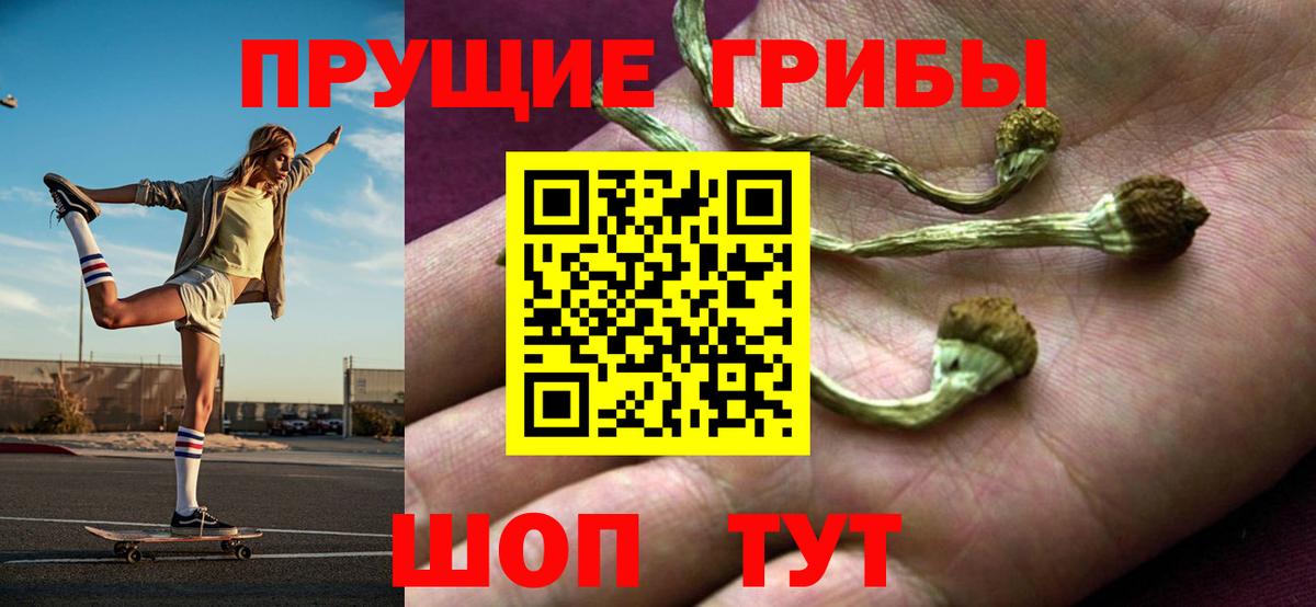 Псилоцибиновые грибы MAGIC MUSHROOMS Михайловка